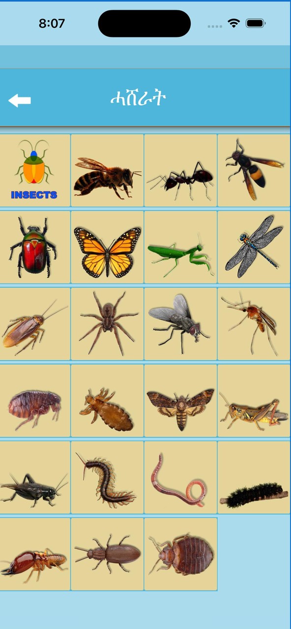 Word Learner ተማሃራይ ቃላት screenshot image 5_Popularmodapk.com