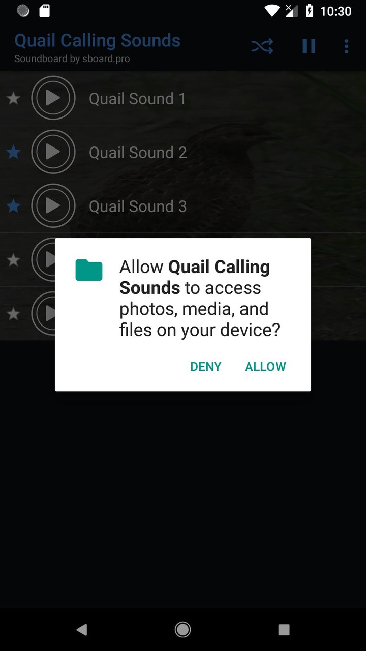 Quail Calling Sounds screenshot image 10_Popularmodapk.com