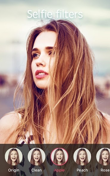 Boxer Dog Wallpaper screenshot image 4_Popularmodapk.com