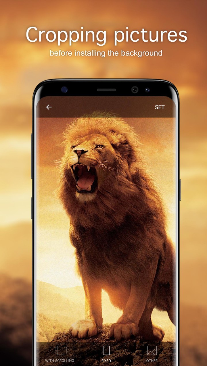 Lion Wallpapers 4K screenshot image 3_Popularmodapk.com