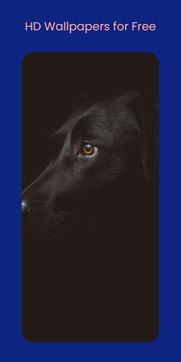 Wallpapers: Wallpaper Changer screenshot image 5_Popularmodapk.com