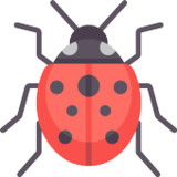 لعبة قتل الحشرات...هههه9.8_Popularmodapk.com