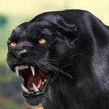 Black Panther Wild Animal Life1.7_Popularmodapk.com