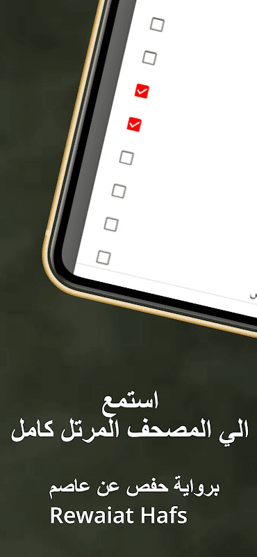 Menshawy Holy Quran Offline screenshot image 19_Popularmodapk.com