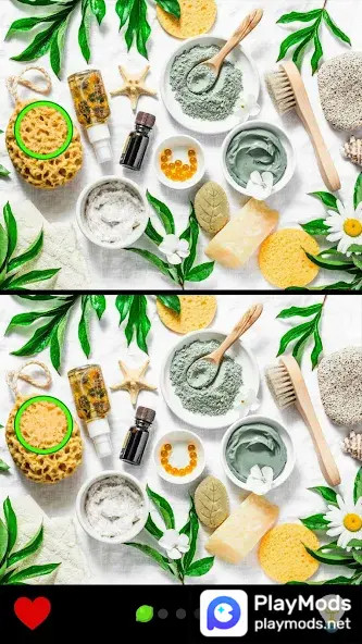 Find the Difference 1000+<span>(No Ads)</span> screenshot image 4_Popularmodapk.com