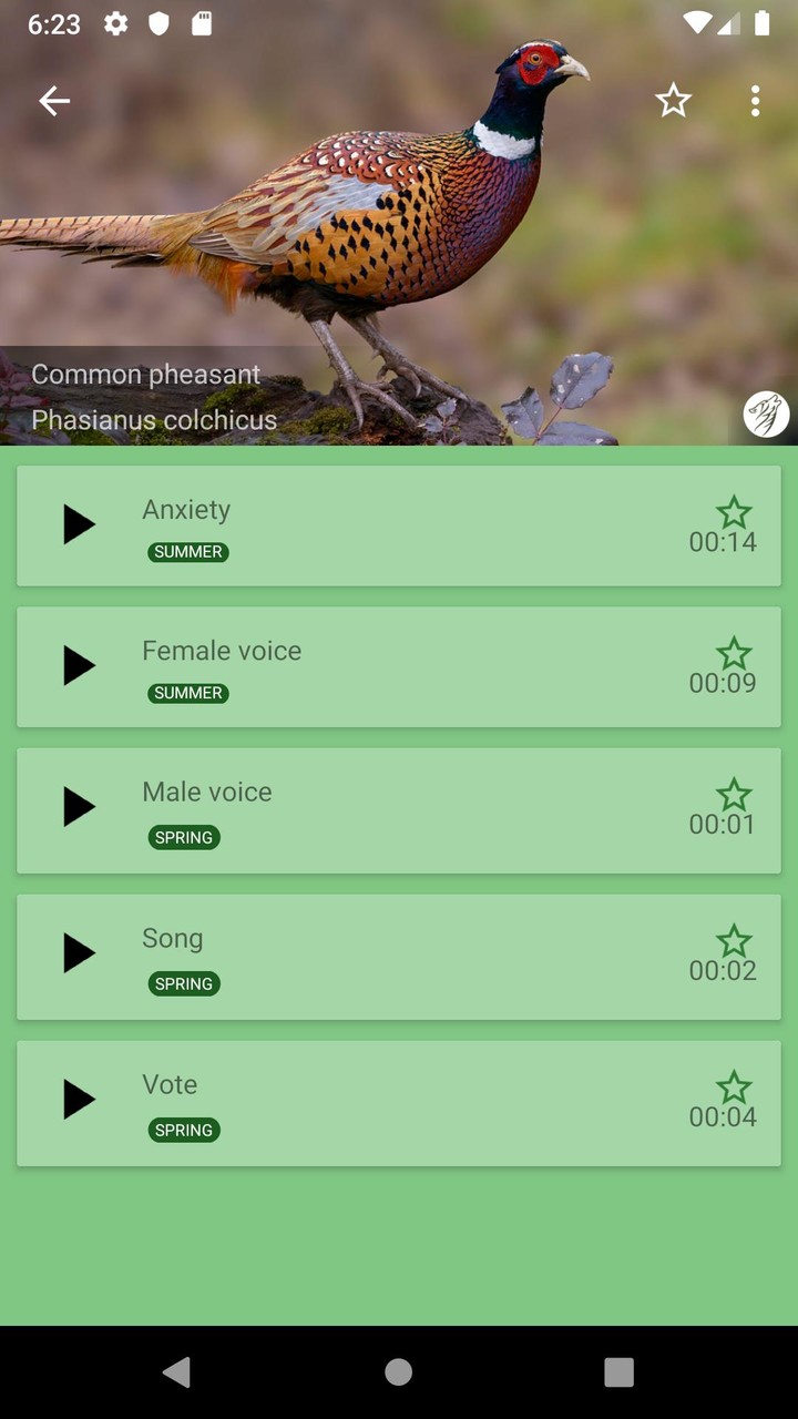 Decoy on the field bird screenshot image 5_Popularmodapk.com