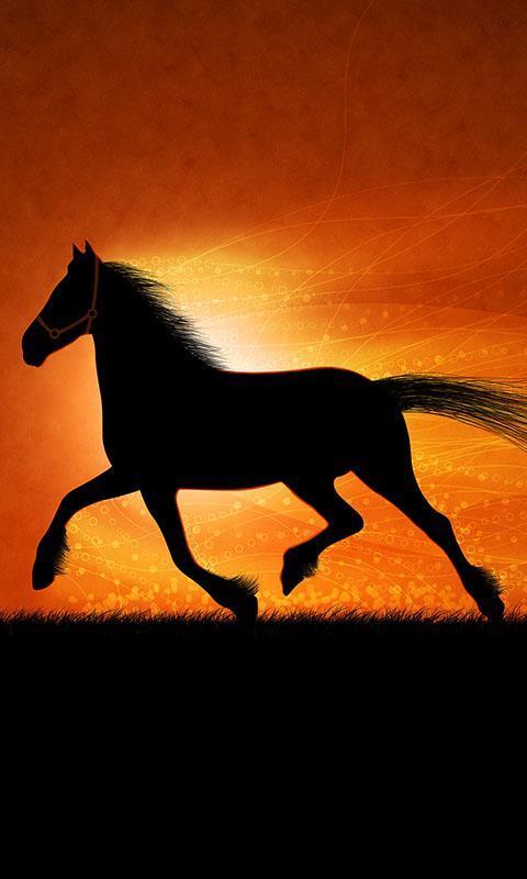 Horses Live Wallpaper screenshot image 10_Popularmodapk.com