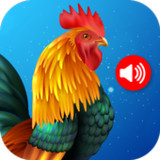 Animals & Birds Ringtones2.26_Popularmodapk.com