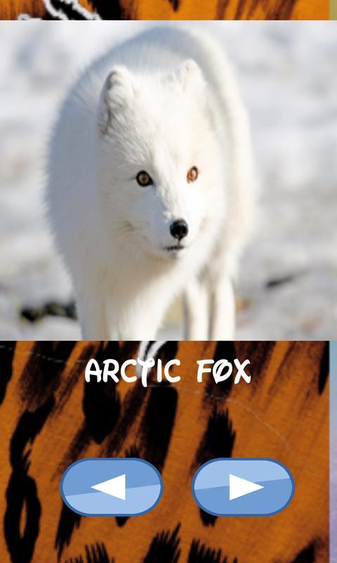 Animals , guess which one screenshot image 2_Popularmodapk.com