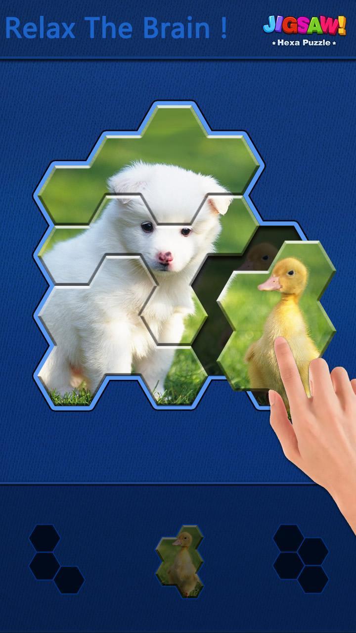 Jigsaw Puzzle -Hexa Block Game screenshot image 3_Popularmodapk.com