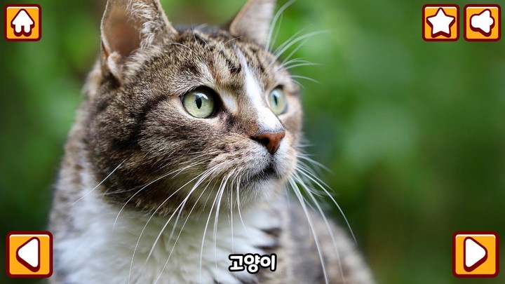 Animal friends in my hand screenshot image 2_Popularmodapk.com