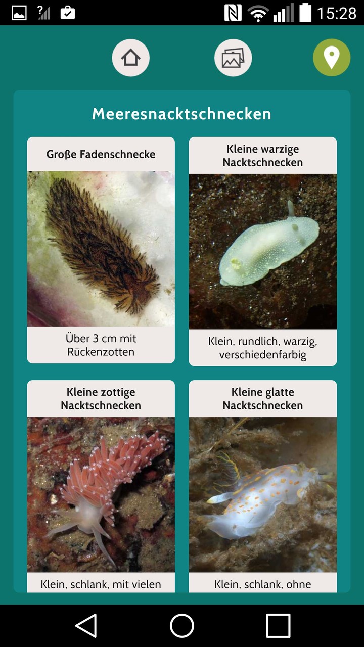 Baltic Explorer screenshot image 4_Popularmodapk.com