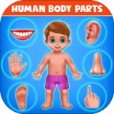 Human Body Parts - Kids Games4.3_Popularmodapk.com