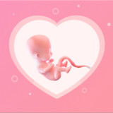 Pregnancy Tracker Week By Week2.4_Popularmodapk.com