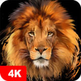 Lion Wallpapers 4K5.5.93_Popularmodapk.com