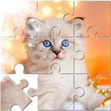 Jigsaw Puzzle Mania: Mind Game1.4.3_Popularmodapk.com