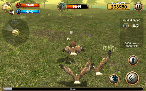 Wild Eagle Sim 3D<span>(Unlimited money)</span> screenshot image 5_Popularmodapk.com