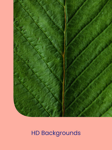 Wallpapers: Wallpaper Changer screenshot image 11_Popularmodapk.com