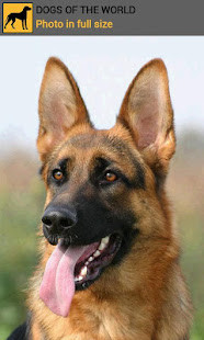 Mega Match Mall screenshot image 2_Popularmodapk.com