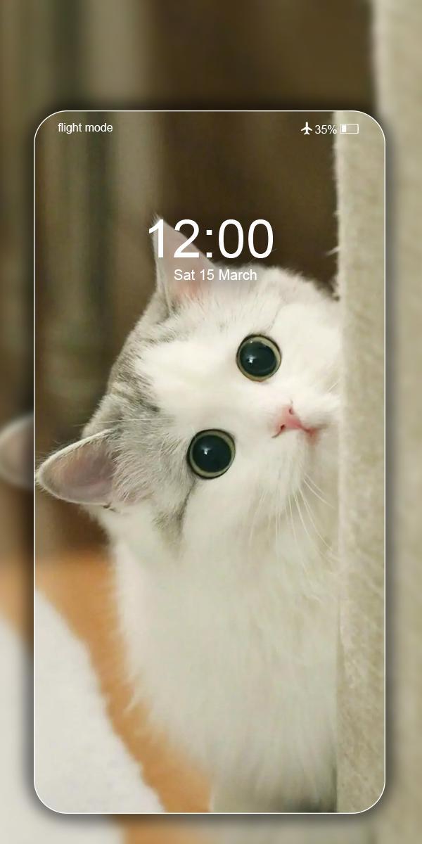 Cute Cat Wallpaper Live HD screenshot image 9_Popularmodapk.com