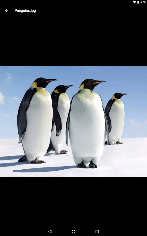 OpenDrive screenshot image 16_Popularmodapk.com