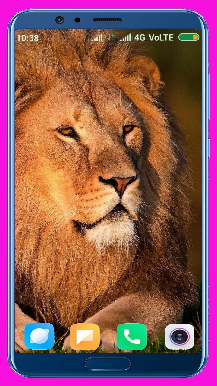 Lion HD Wallpaper screenshot image 34_Popularmodapk.com