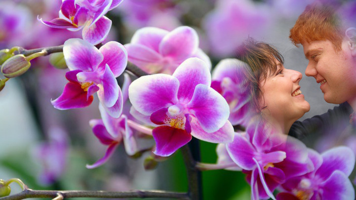 orchid photo frames costume montage editor screenshot image 2_Popularmodapk.com