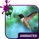 Colibri Animated Keyboard + Live Wallpaper3.63_Popularmodapk.com