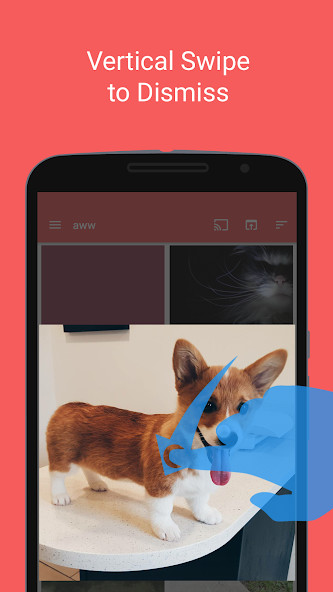 Repost for reddit<span>(Unlocked)</span> screenshot image 6_Popularmodapk.com