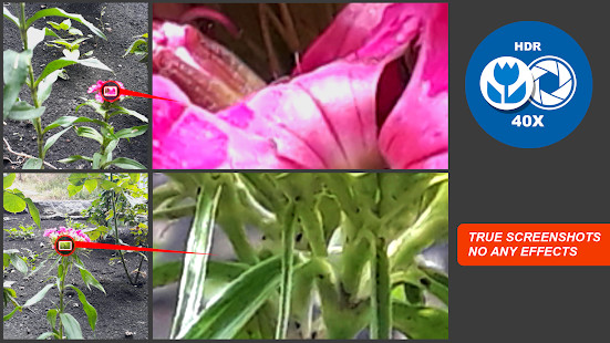 Explordle screenshot image 2_Popularmodapk.com