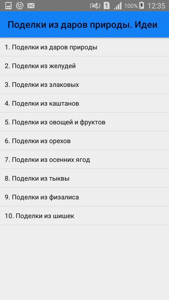 Поделки из даров природы. Идеи screenshot image 1_Popularmodapk.com