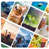 Picture Quiz: World2.7.9_Popularmodapk.com