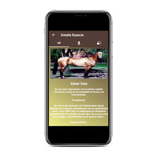 SolarX Beta screenshot image 19_Popularmodapk.com
