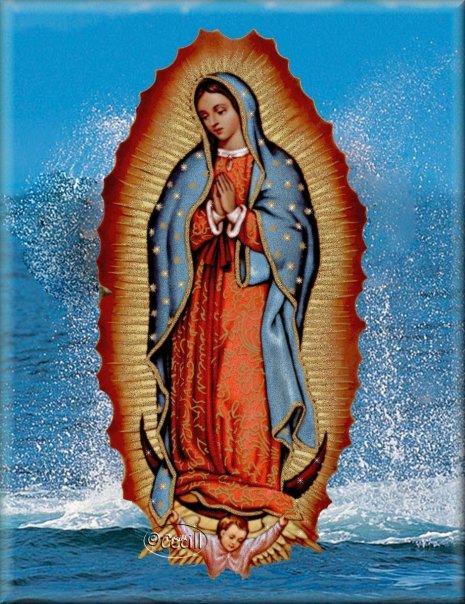 Fondos Virgen de Guadalupe screenshot image 17_Popularmodapk.com