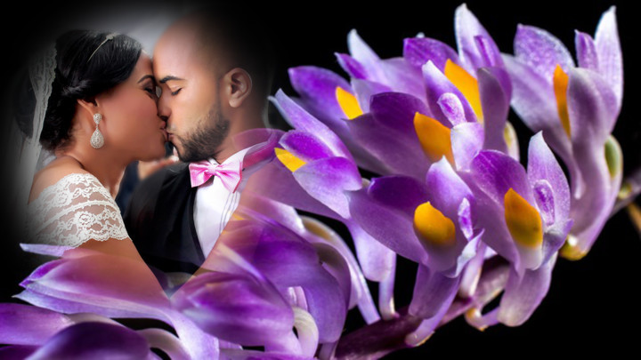 orchid photo frames costume montage editor screenshot image 4_Popularmodapk.com