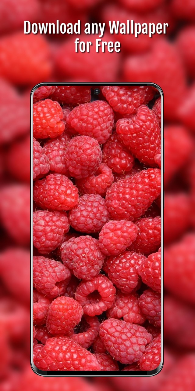 Portes du Soleil Summer screenshot image 3_Popularmodapk.com