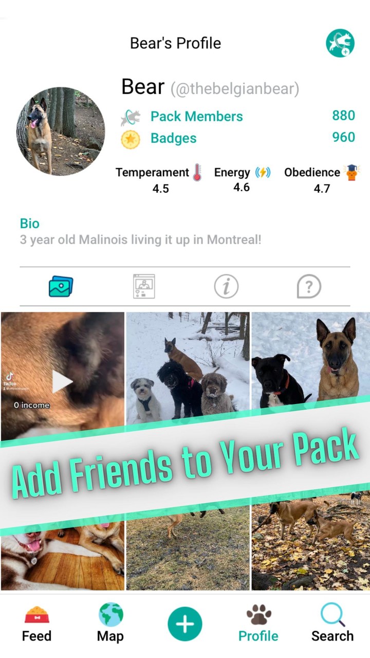 DogPack screenshot image 6_Popularmodapk.com