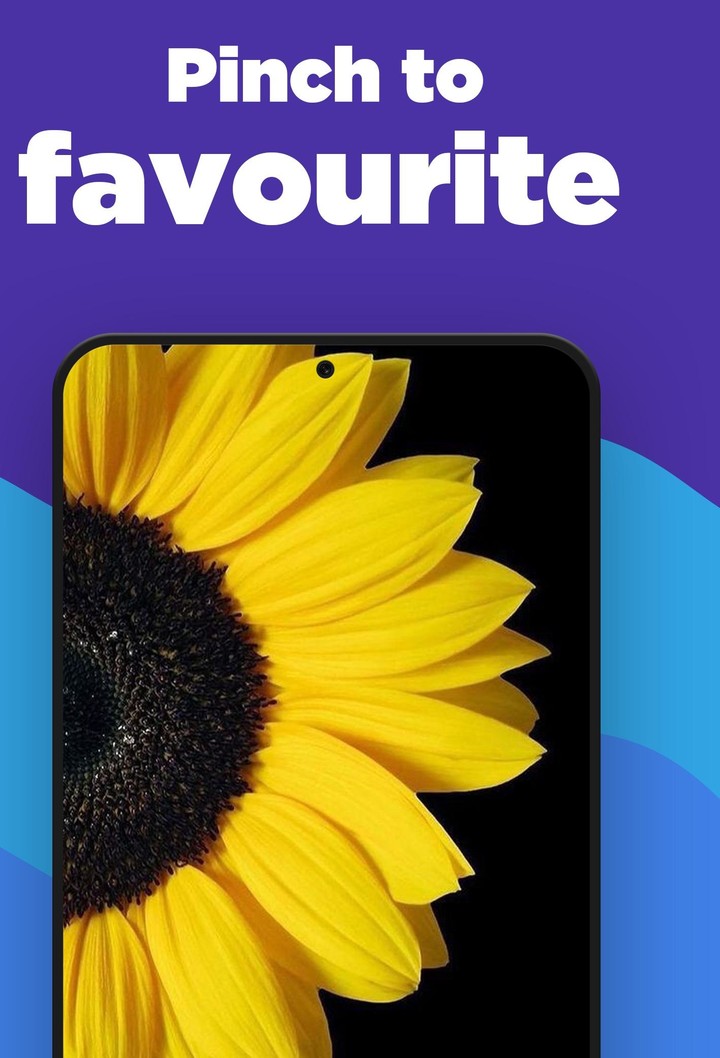 Sunflower Wallpaper screenshot image 5_Popularmodapk.com