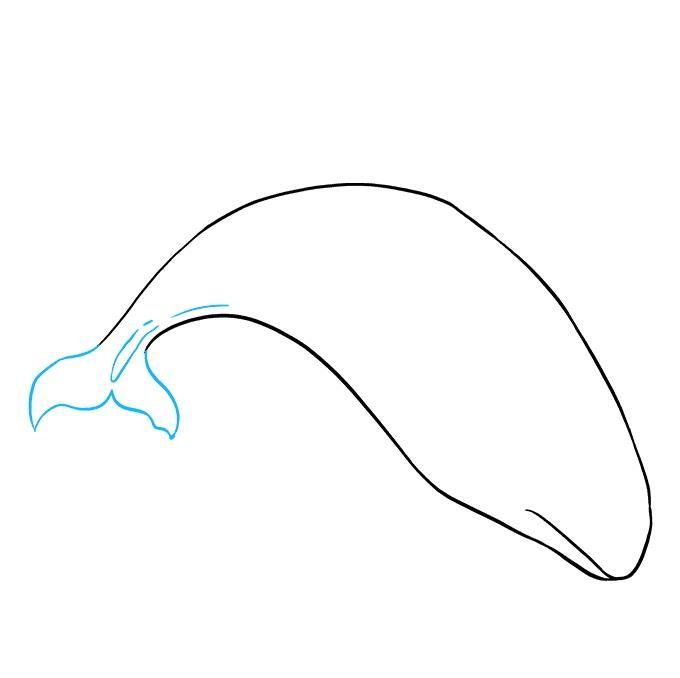 How to draw animals step by st screenshot image 7_Popularmodapk.com