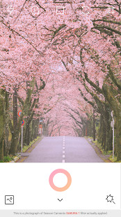 WSSH Raider Radio screenshot image 1_Popularmodapk.com