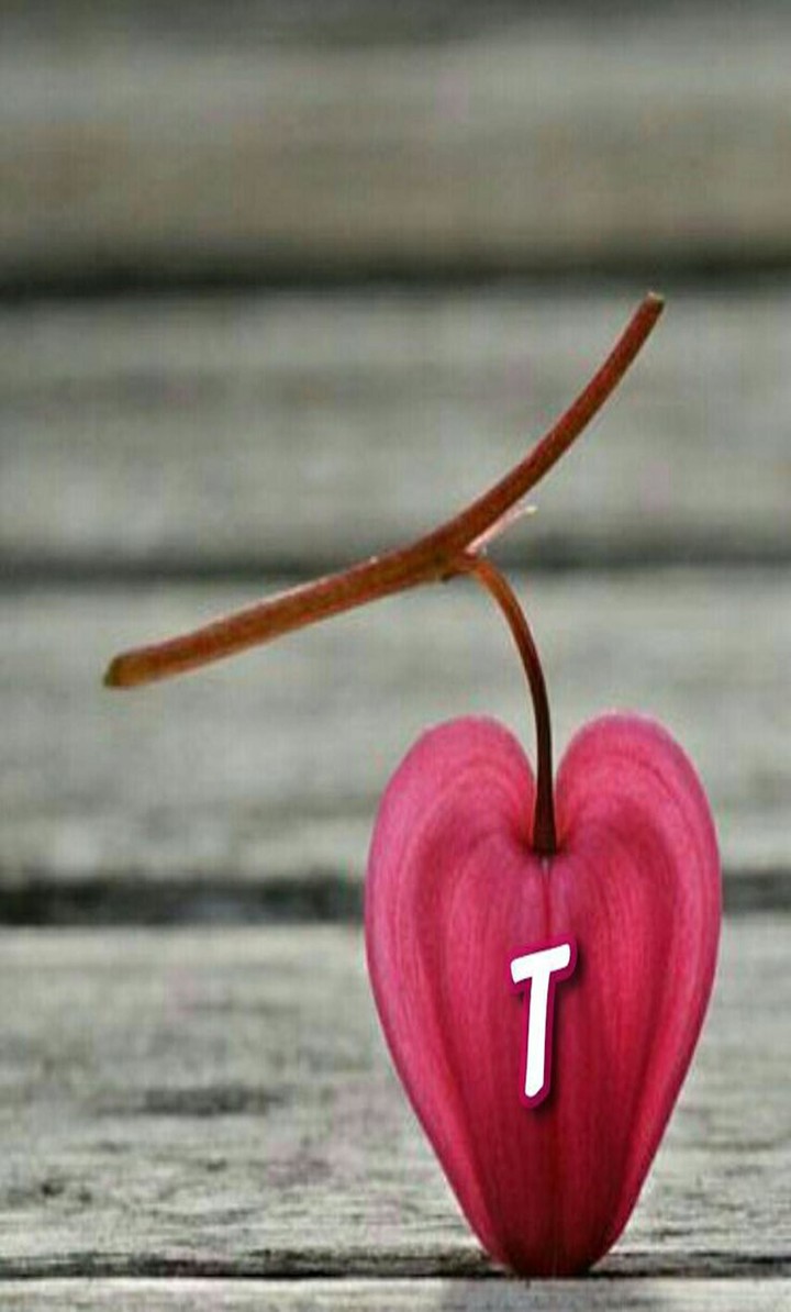 t wallpaper screenshot image 19_Popularmodapk.com