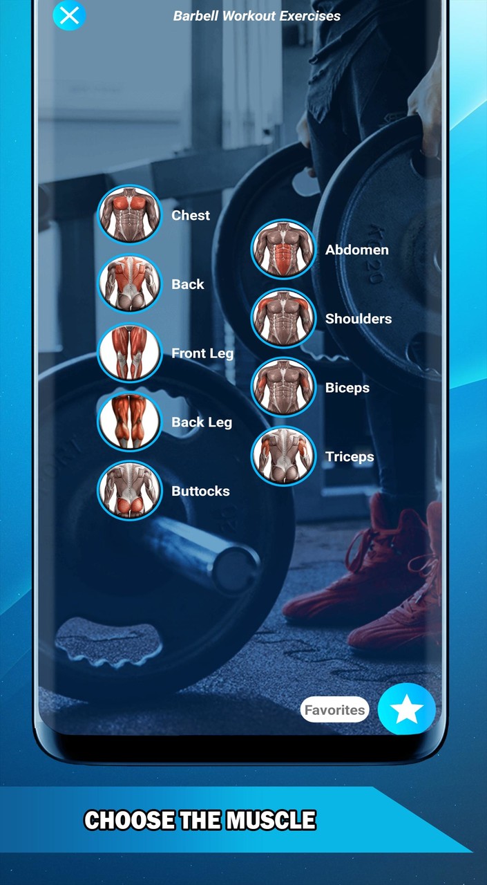 Barbell Workout - Routines screenshot image 8_Popularmodapk.com