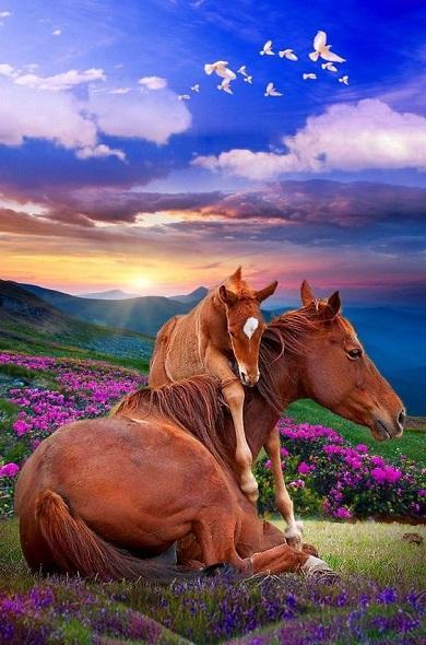 Spring Wallpapers screenshot image 12_Popularmodapk.com