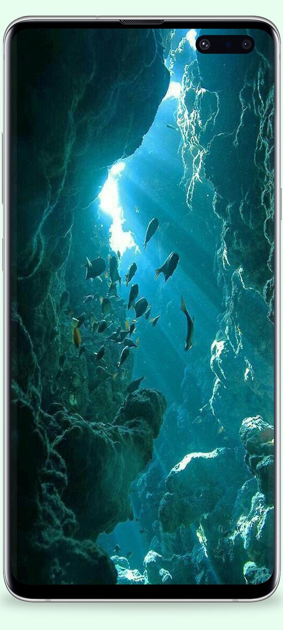 shining wallpaper 4k screenshot image 2_Popularmodapk.com