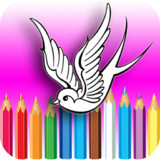 Litle Birds Coloring Book7.0_Popularmodapk.com