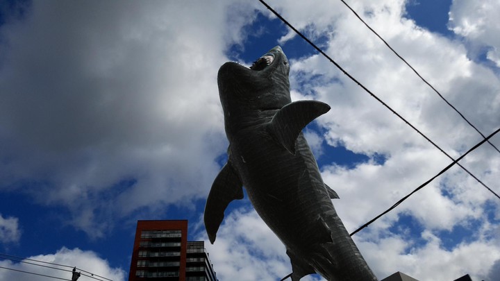 Dino Dan - Dino Cam screenshot image 3_Popularmodapk.com