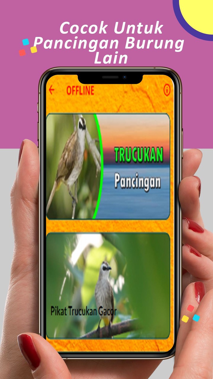 Pancingan Trucukan Gacor screenshot image 3_Popularmodapk.com