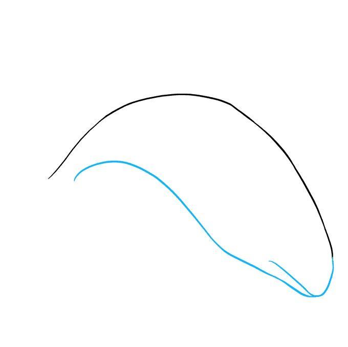 How to draw animals step by st screenshot image 6_Popularmodapk.com