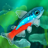 Pondlife — Relaxing Fish Game<span>(Unlimited bubble coins)</span>1.14.8_Popularmodapk.com