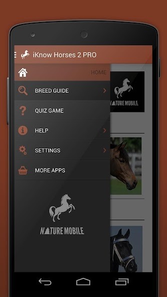 aesthetic Cool Wallpapers HD screenshot image 3_Popularmodapk.com